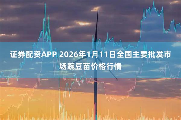 证券配资APP 2026年1月11日全国主要批发市场豌豆苗价格行情