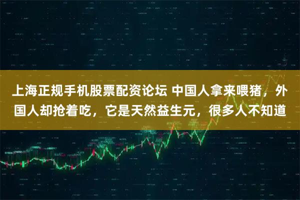 上海正规手机股票配资论坛 中国人拿来喂猪，外国人却抢着吃，它是天然益生元，很多人不知道